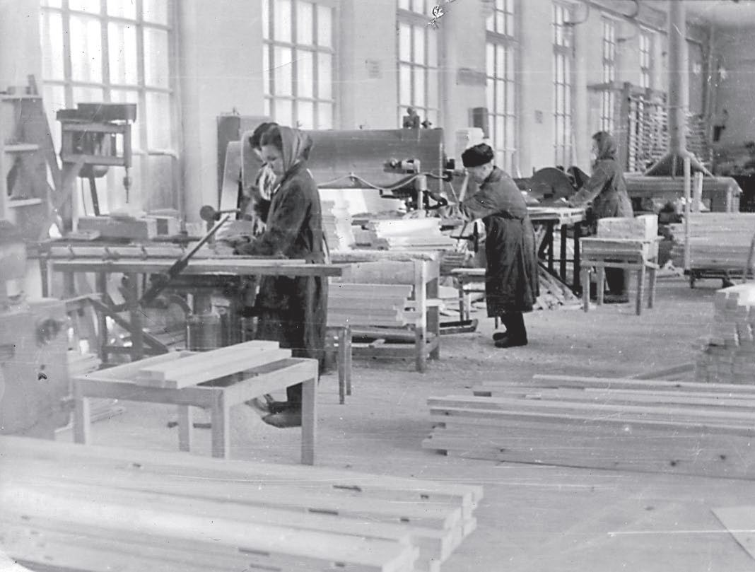 Сузунская мебельная фабрика столярный цех
